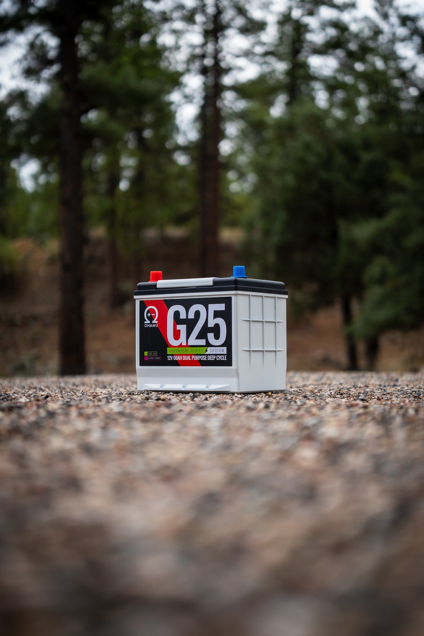 Group 25 - 60Ah Sodium 12V Battery