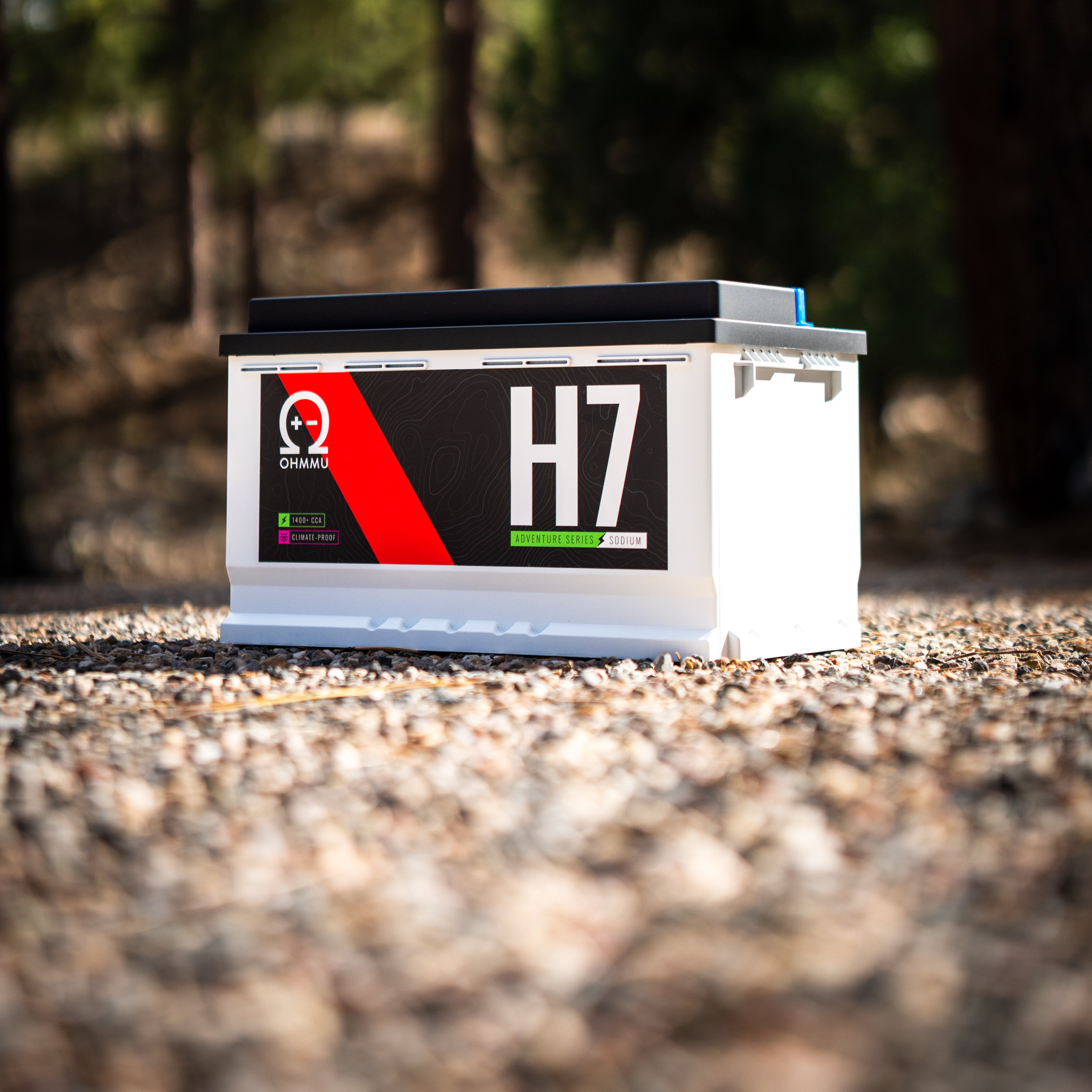 Na-H7/Group 27F