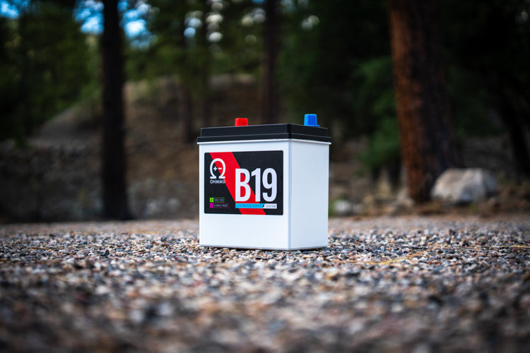 Na-B19
