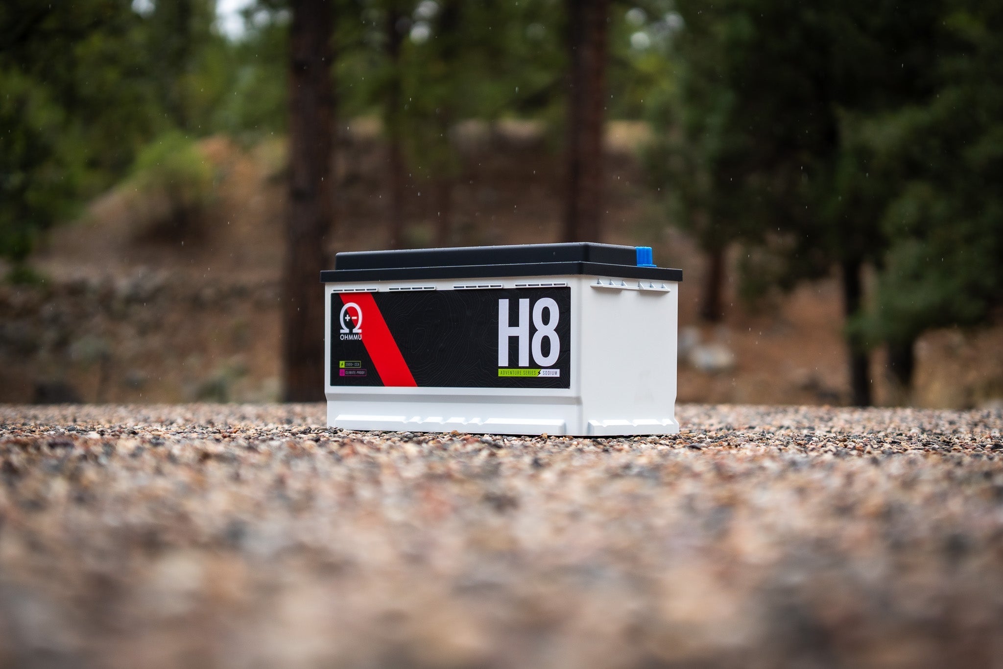 Na-H8/Group 49