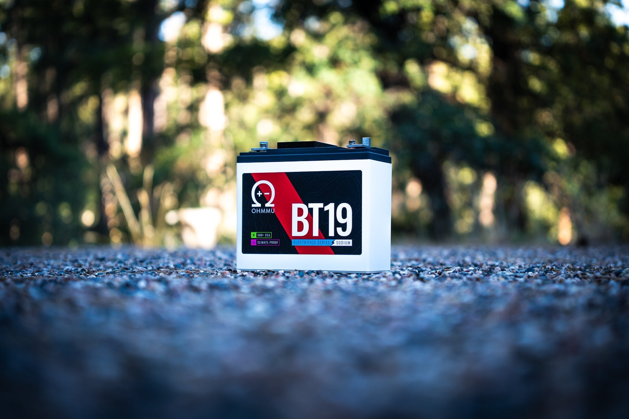 Na-BT19