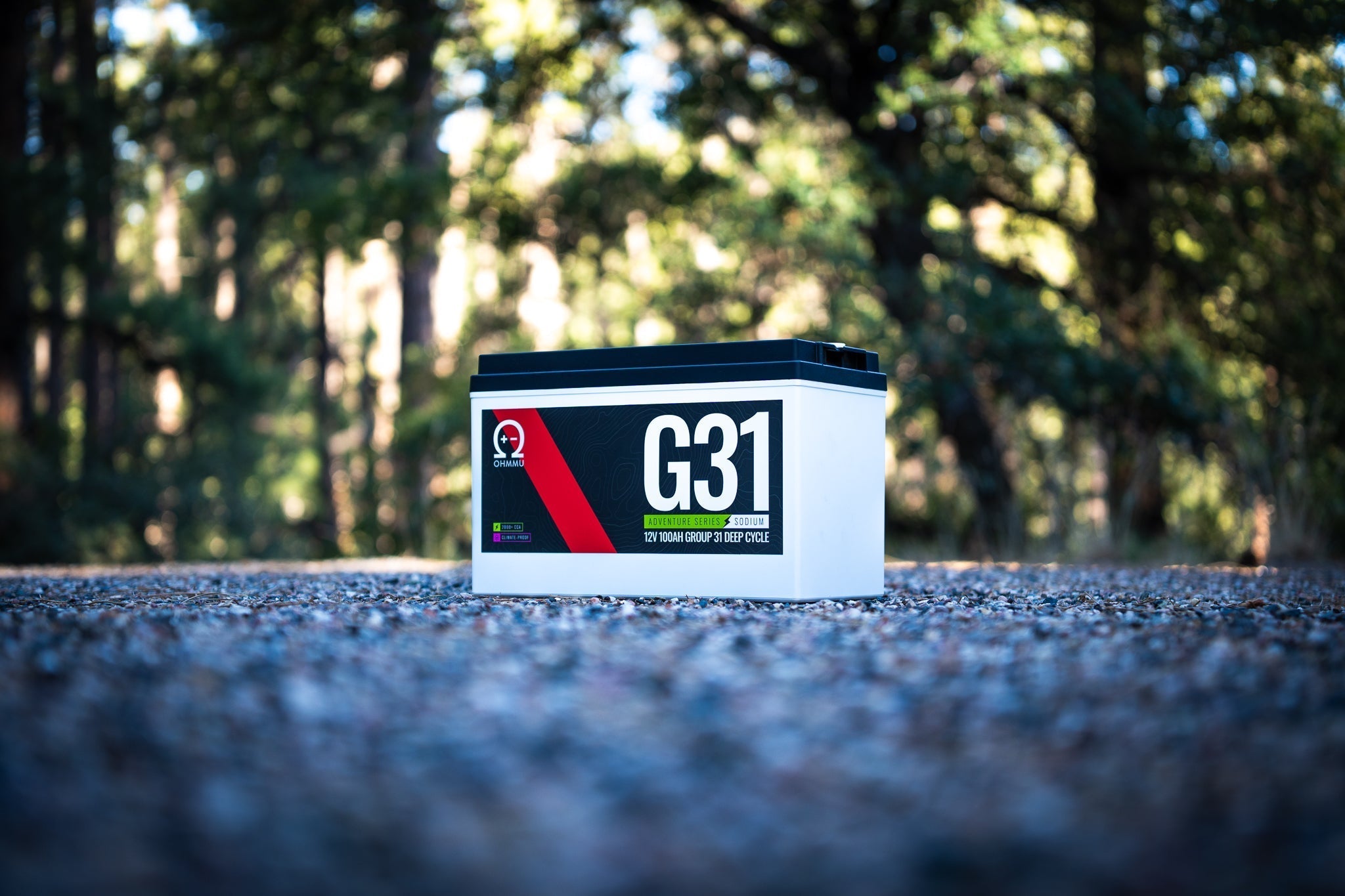 Na-G31