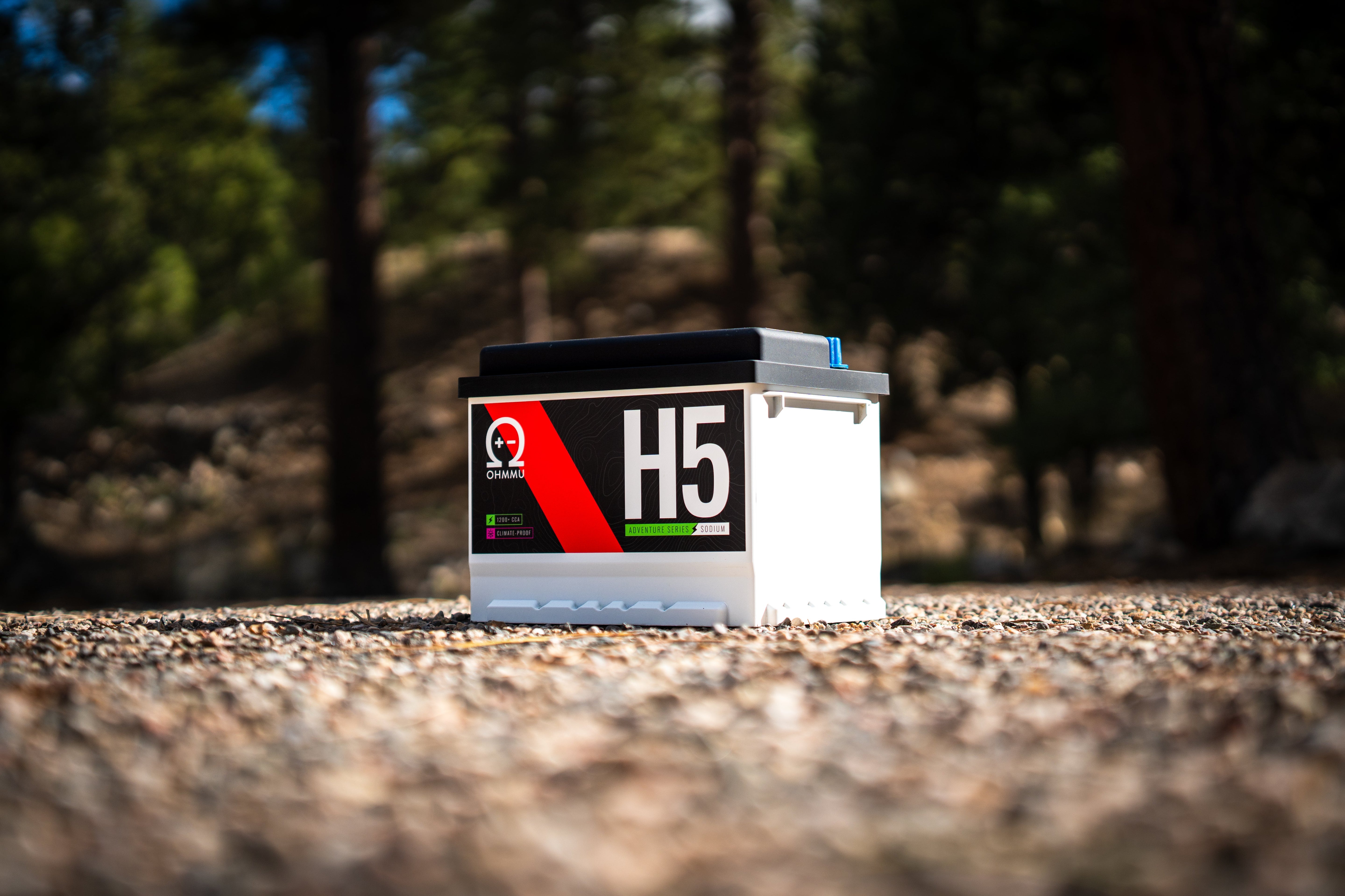 Na-H5/Group 24F