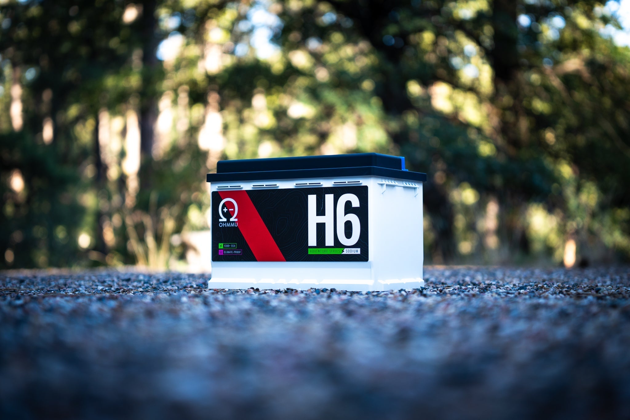 Na-H6/Group 48